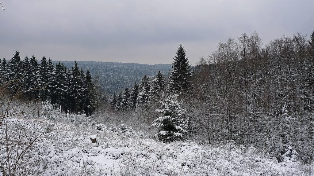 WW2 - Hürtgenwald - view to Wehebach valey by MortHomme