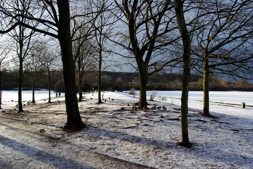 Path Between Frozen Water by Neil Coppick