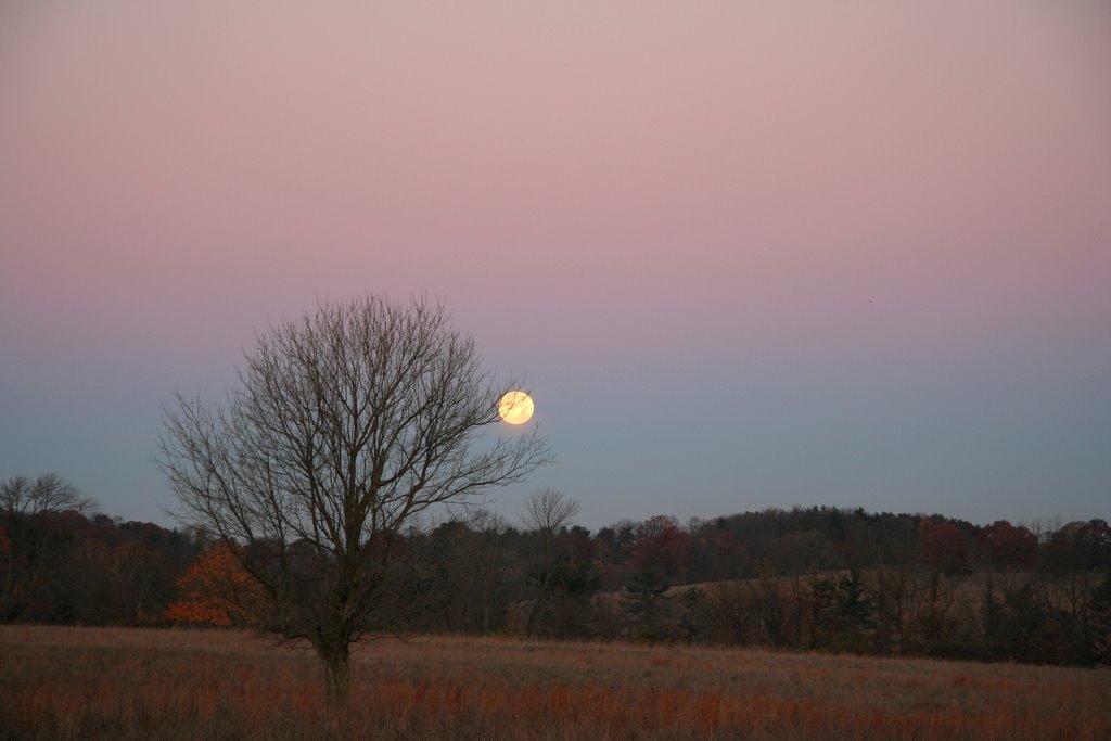 Moonset by rob edinger