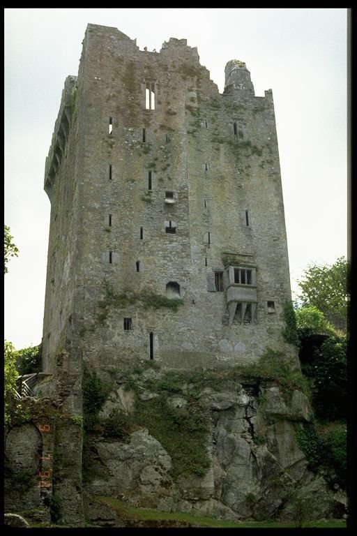 Blarney Castle, Co Cork by Buzby