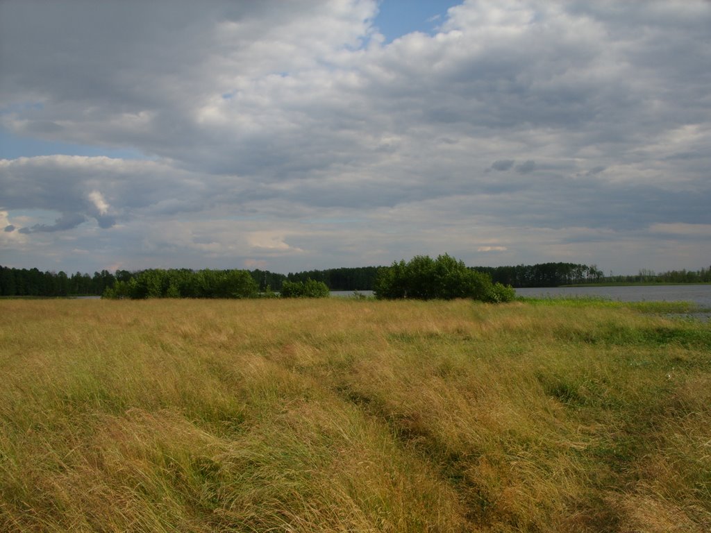 Свиношное, луга у В берега. Swinoschnoye, meadows at the E coast by czerni