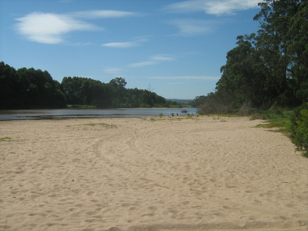 Snowy River near Orbost, Vic by Jason Boyd