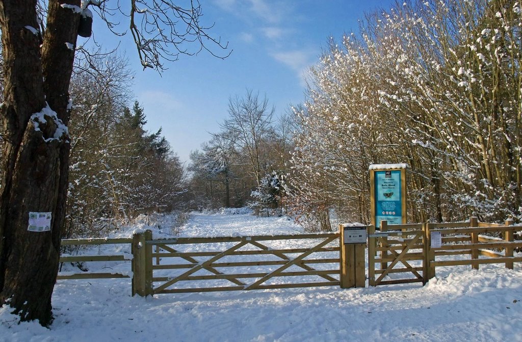 Balls Wood Nature Reserve by jhr1uk