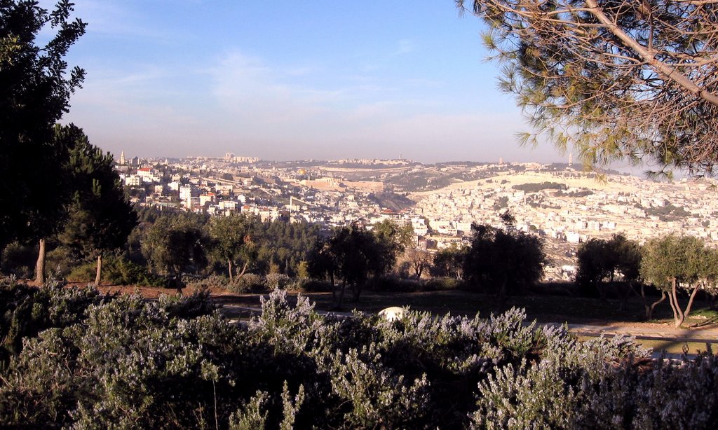 Jerusalem Sherover Promenade 2010 by emkaplin