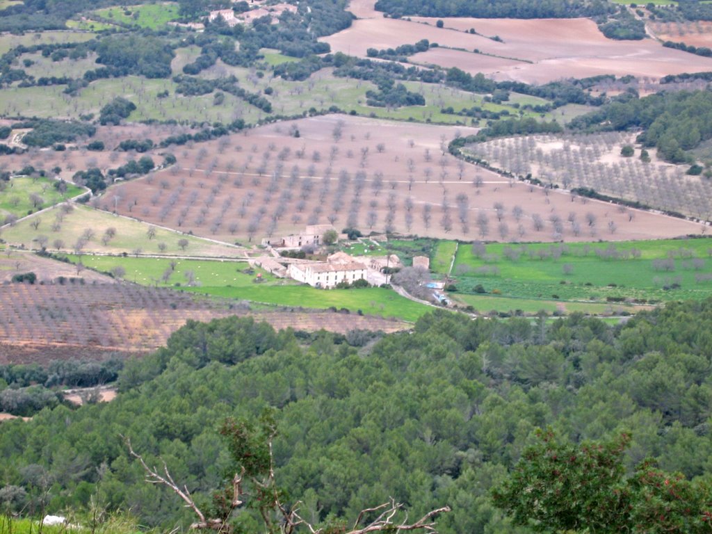 Vista des de Santuari de Cura by joan miquel