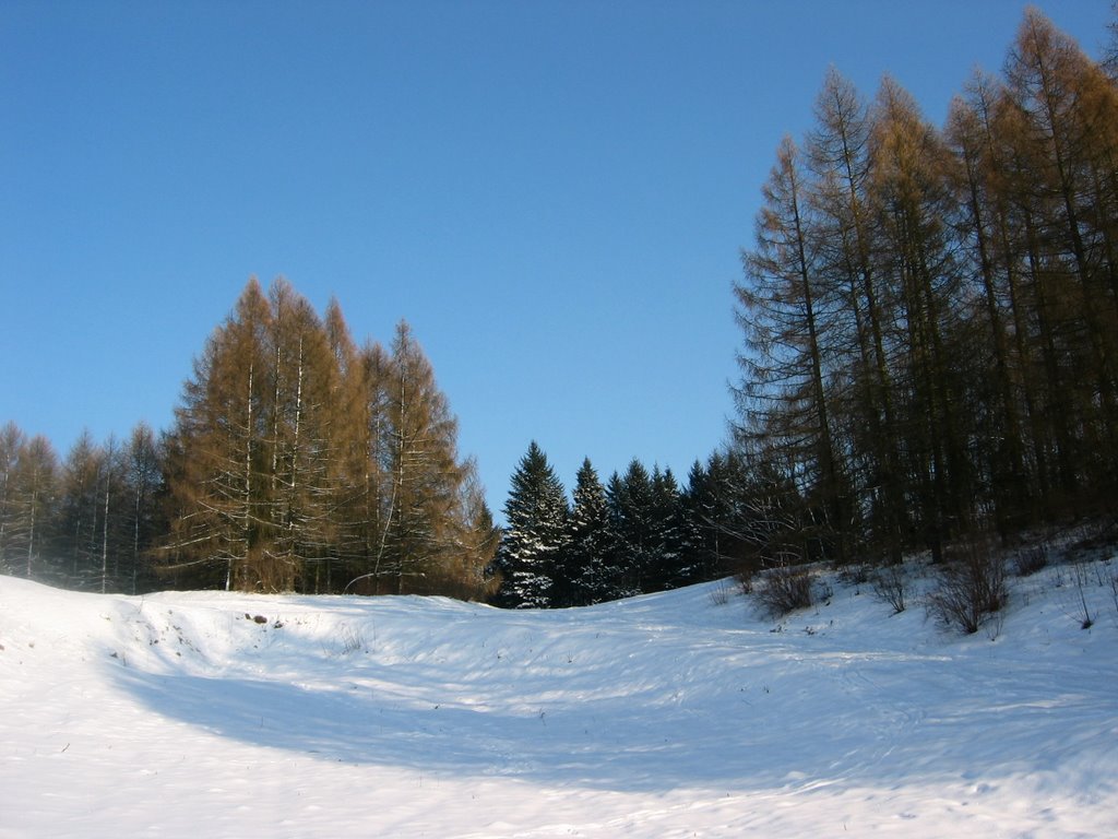 Winter in Girionys park, Kaunas district, Lithuania by Alfas.Pliura