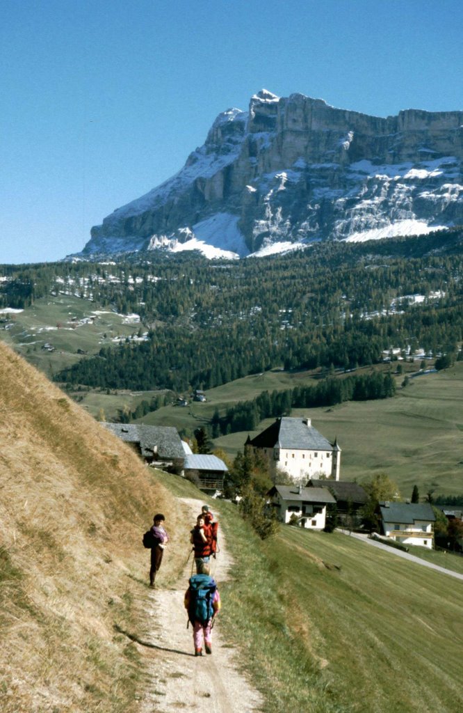 La Villa - Alta Badia by rained in