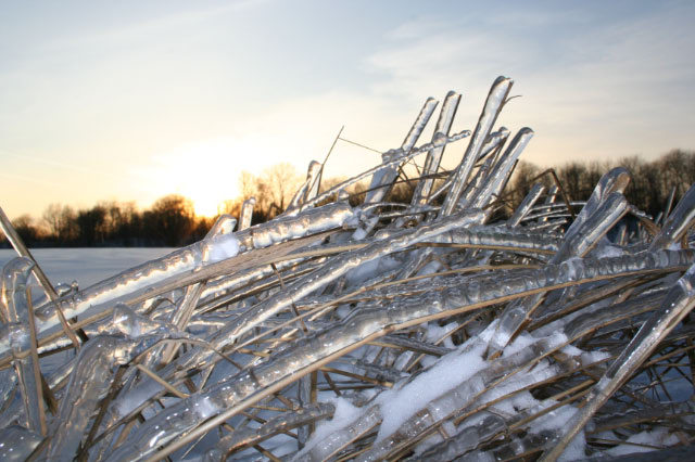 The Winter View by Zbigniew Lis