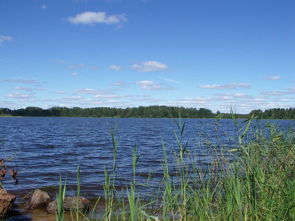 View from small island by geophagus