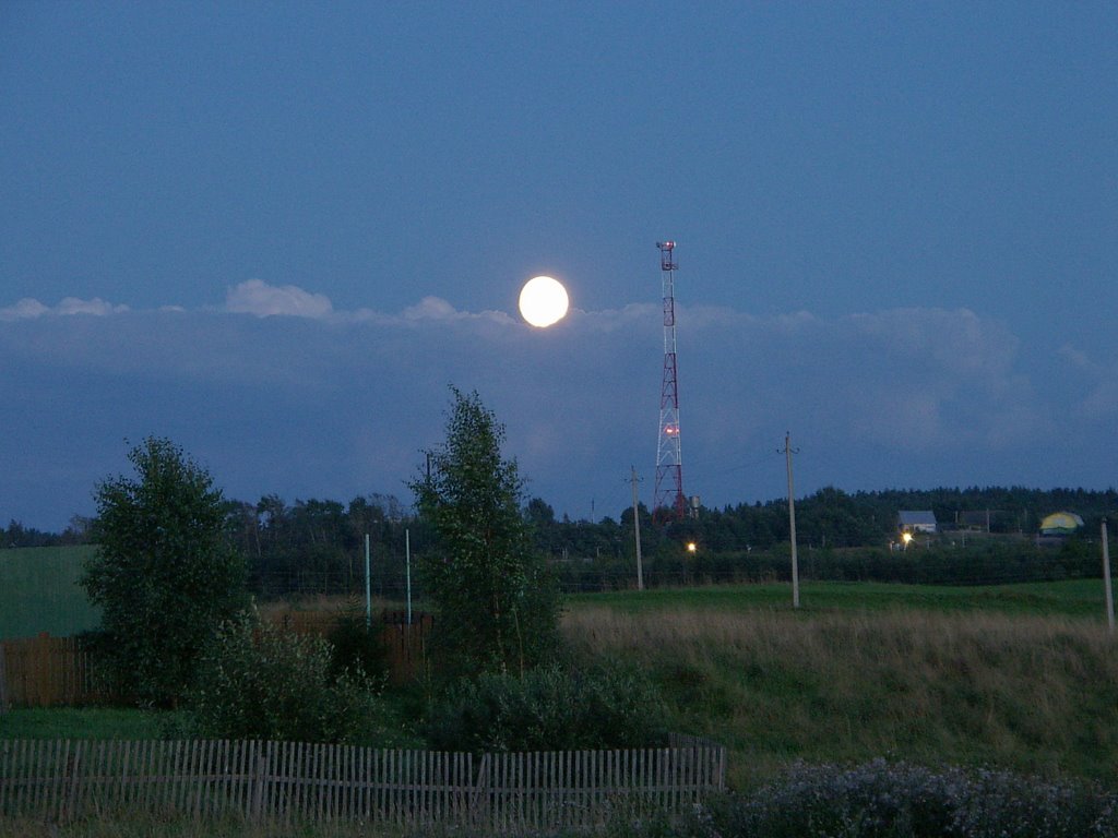 Cell phone tower by geophagus