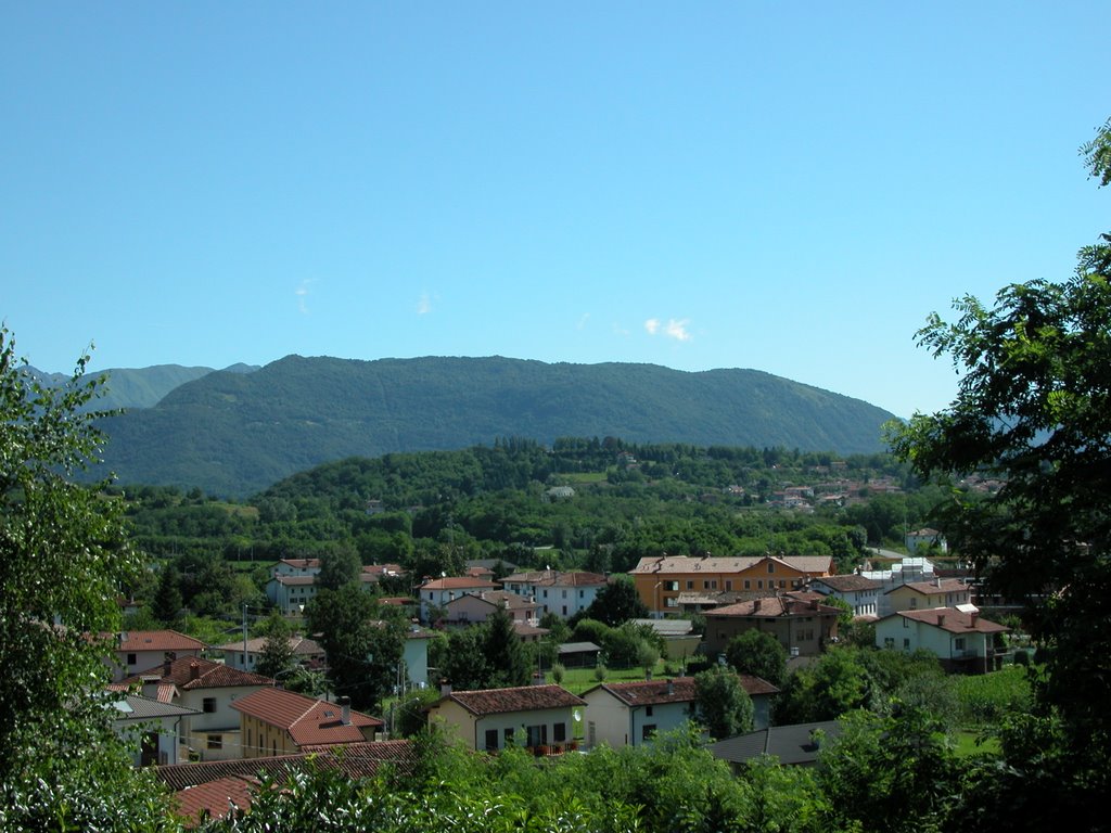 Monte Bernadia, panoramica da Collalto by Paola_Pascoli