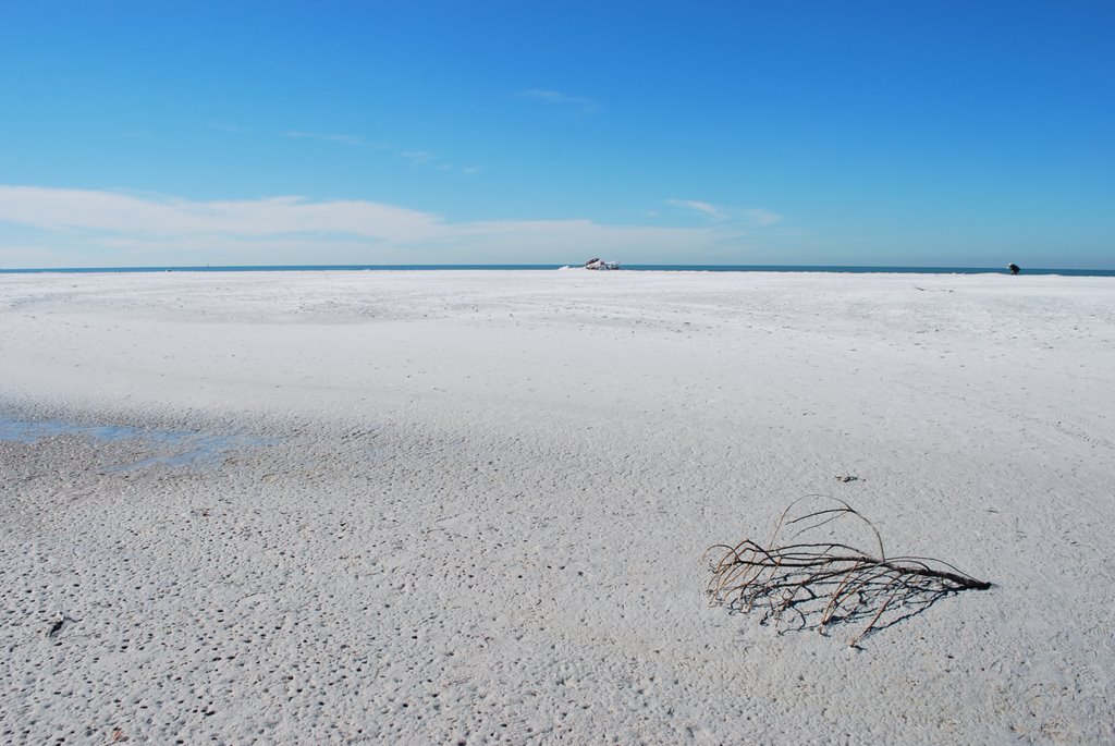 County of Pinellas: Fort Desoto Park‎, Gulf of Mexico by ><((((º>  methysmena chromata<º))