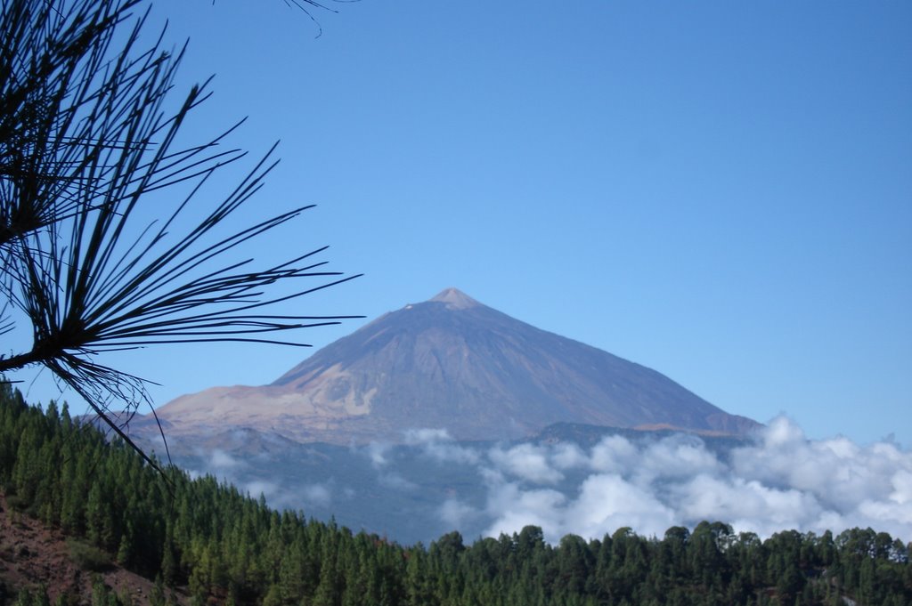 EL TEIDE desde TF-24 by "Cuky"/A.S.G."NO VIEWS"