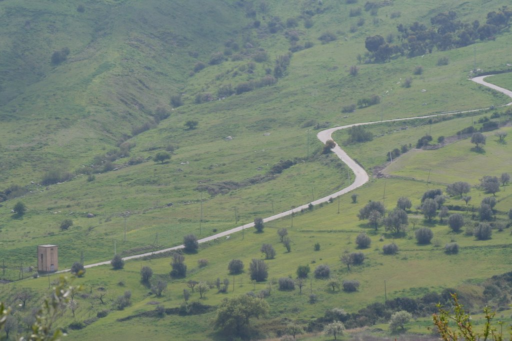 Tizzana strada per Stignano by Taverniti