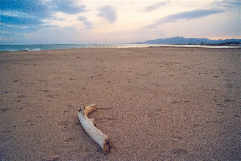 Platja de Cambrils a l'hivern by jordi ferrando