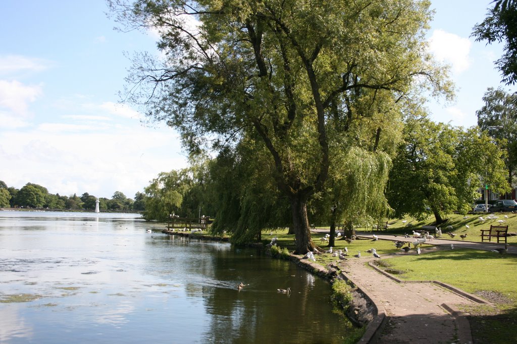 Roath Park Lake West Bank by richtheo