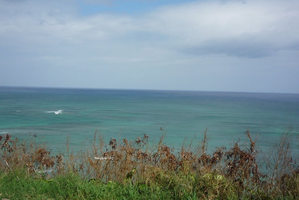 Kualoa Ranch by yvr101