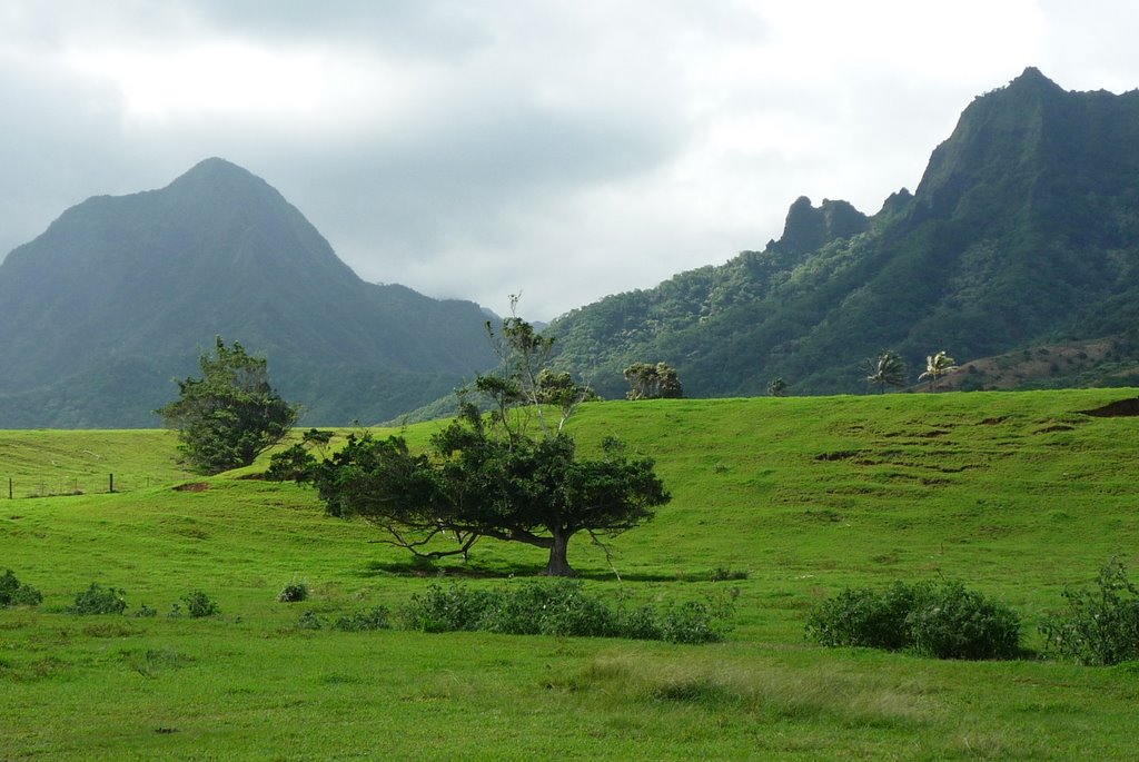 Ka'a'awa Valley, Kualoa Ranch by yvr101