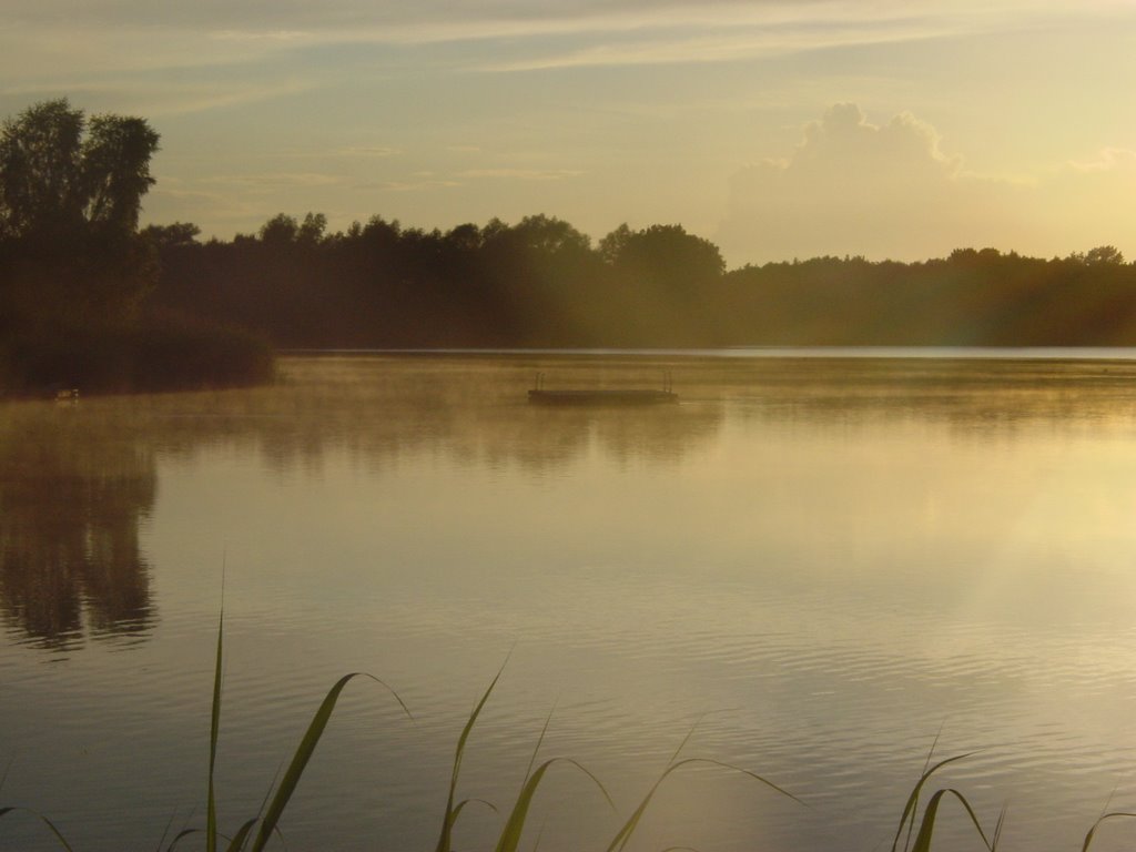 Grasbroek, Bornebroek by Innocenti