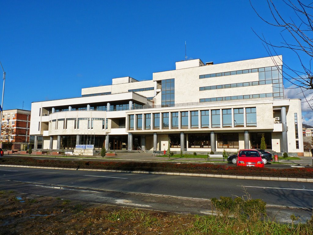 Biblioteca Judeţeană by Ionut Marinca