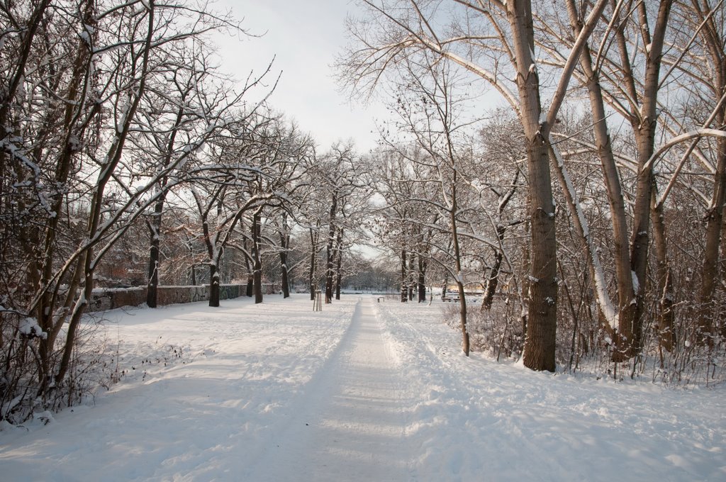 Park am Stadthafen im Winter by Thoralf Schade