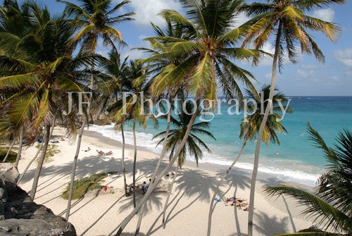 Unnamed Road, Apple Hall, Barbados by Jon Farmer