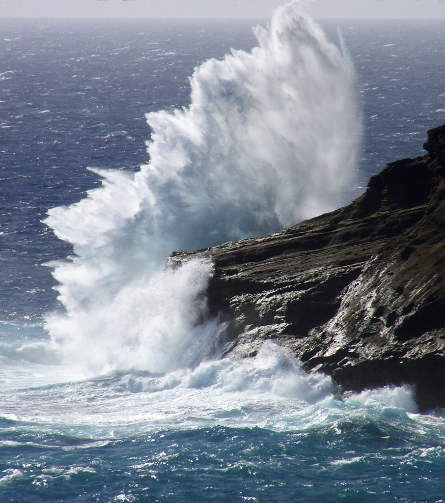 Breaking wave just outside Hanauma Bay (detail) by theverbiage