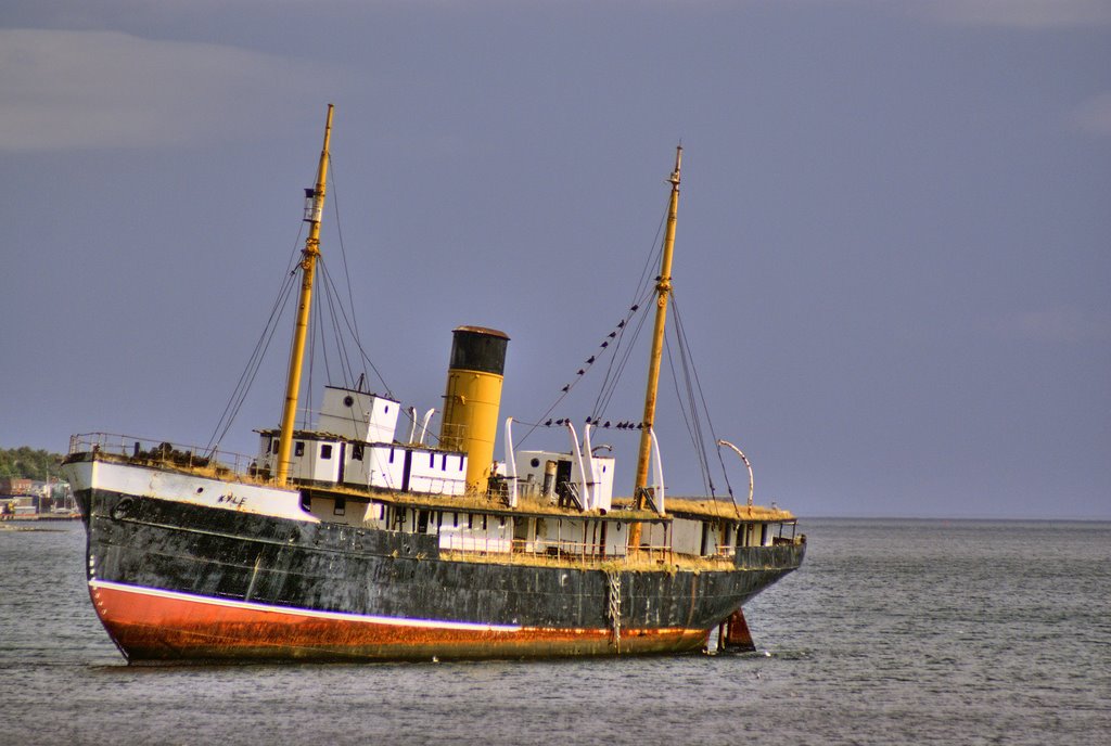 SS Kyle, Aground in Harbour Grace, Newfoundland by Ideaphore