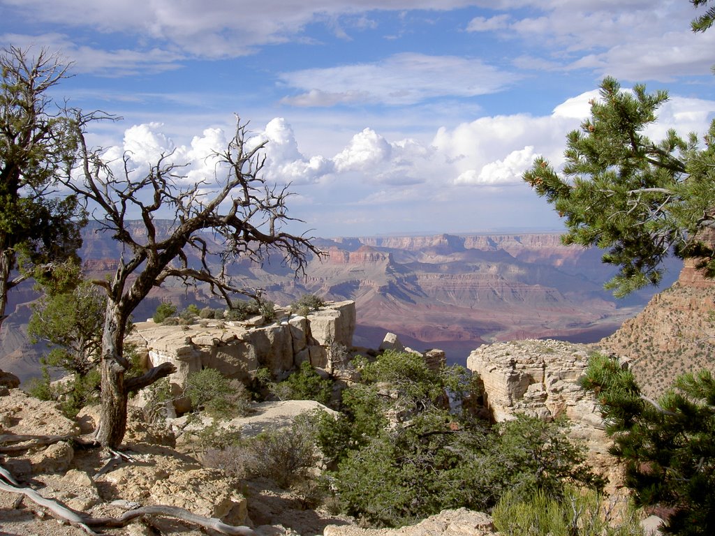 Grand Canyon - Moran Point - Grand Canyon National Park AZ by Maria Gizella Nemcsics