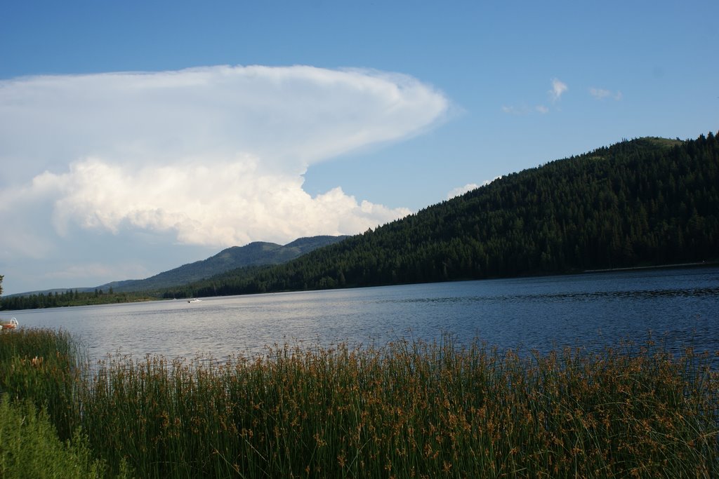 Anvil Cloud by terryllw