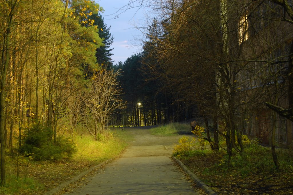 Evening at the PSTU campus by daniel.kurushin