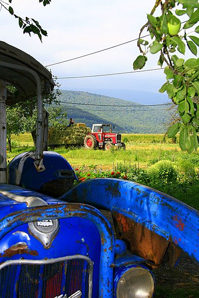 Tractor by Milan Rapaić