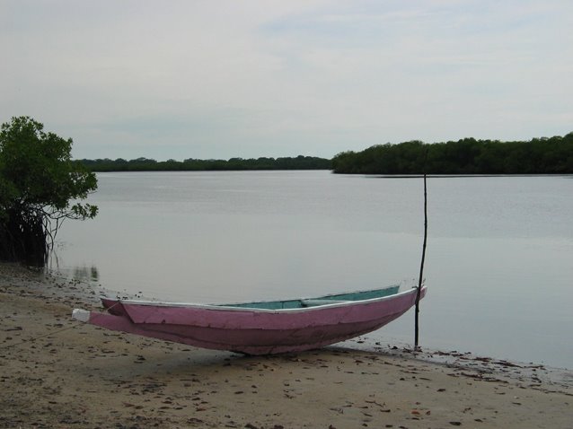 Pirogue rose à Sipo by mihimiti