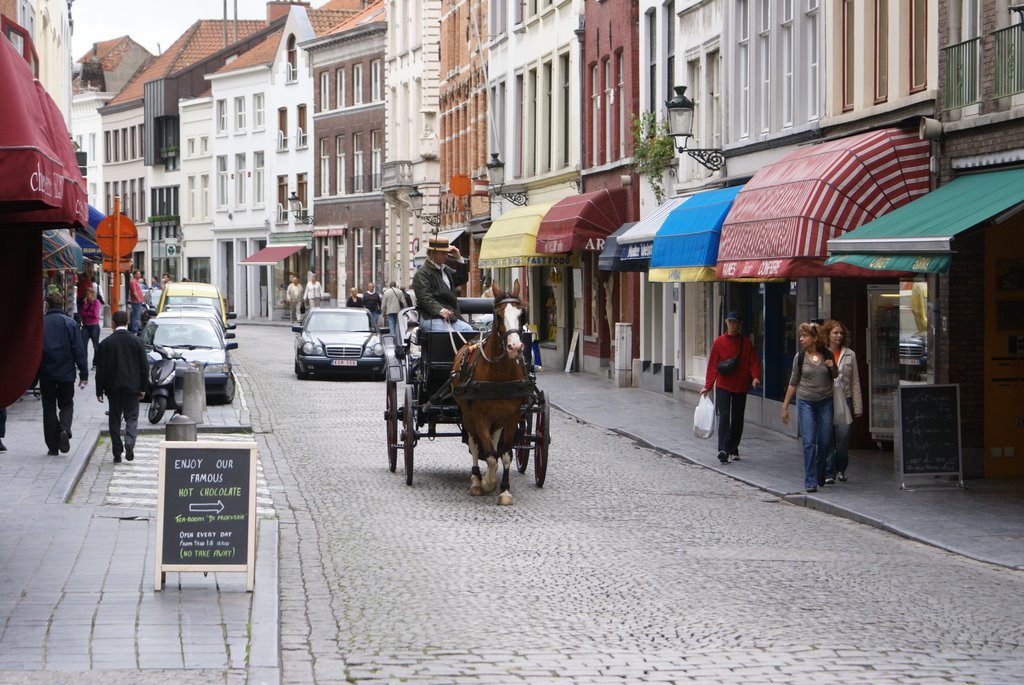 Bruges, Belgium by pticaff