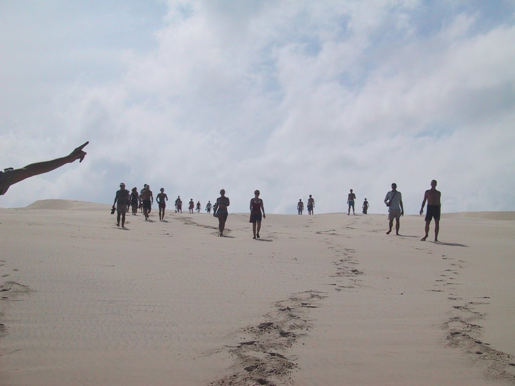 The lost ones emerging from dunes on Fraser Island Xmas 2001 by richtheo