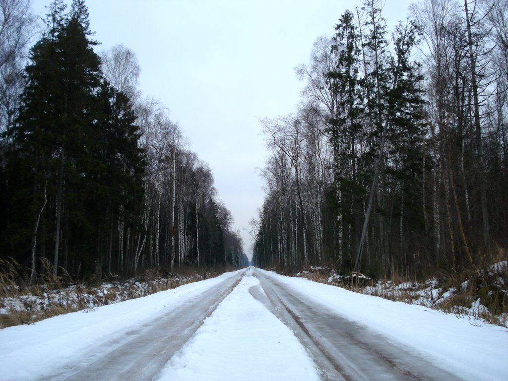 Winter Road To Forest by ---=XEON=---