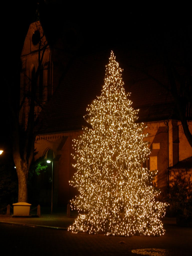 Christbaum by Fotoberchtel