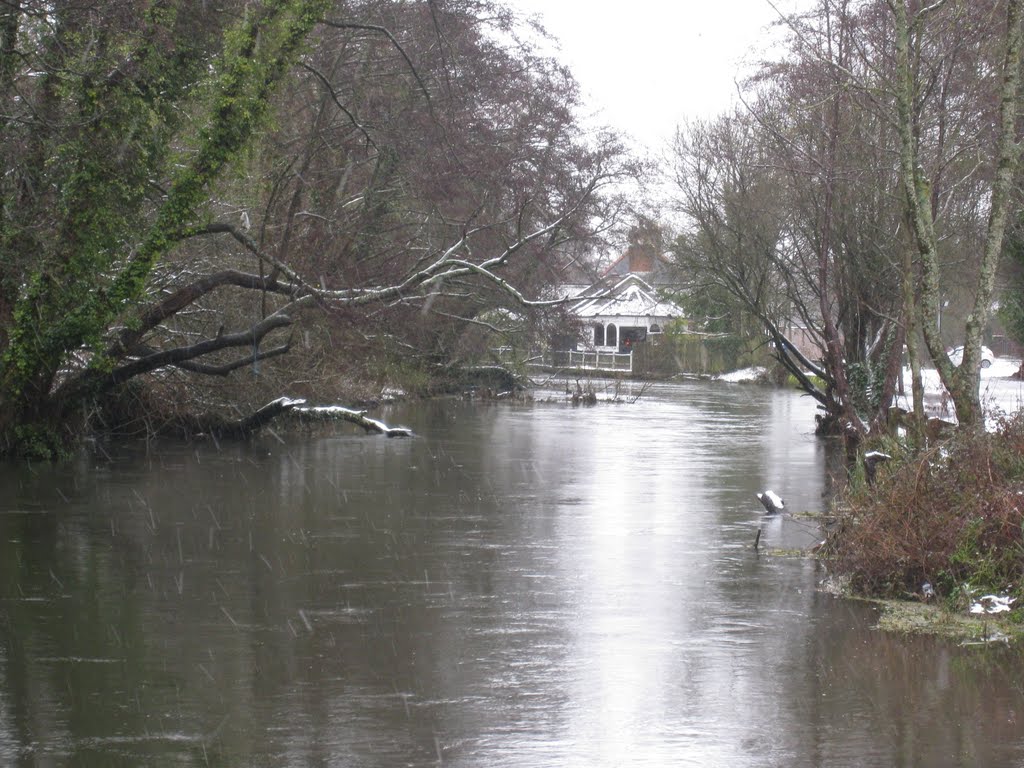 River Itchen Mansbridge. Jan 2010 by bojangles68