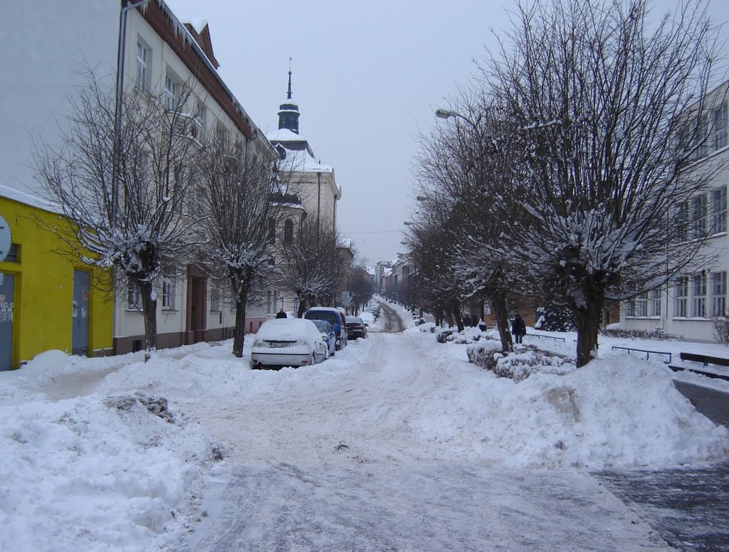 2010-01-12, Зима в Бенешові, вул. Їраскова by iromko