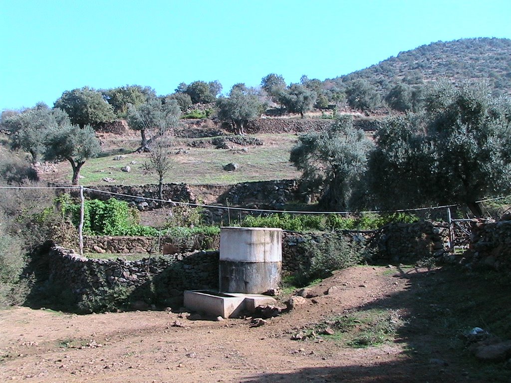 Bağlarbaşı, Çine by karadeniza