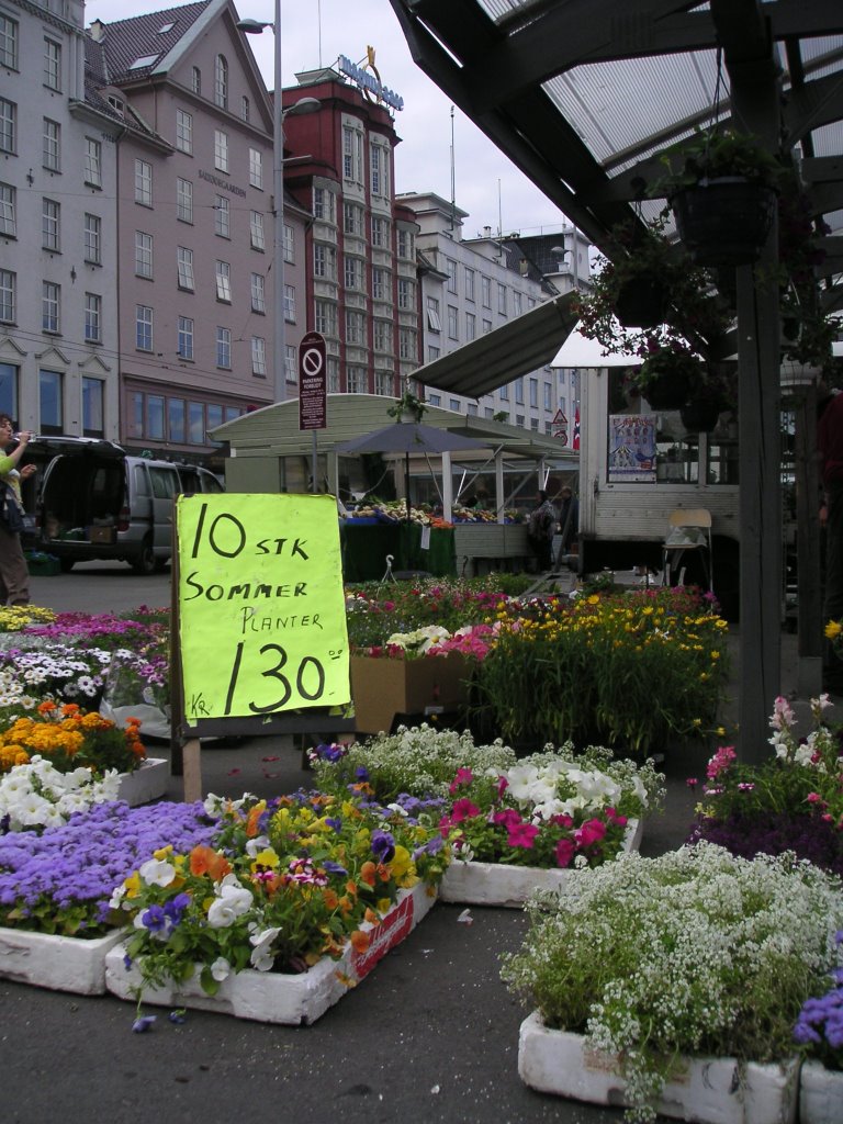 Bergen market by Kate Connor