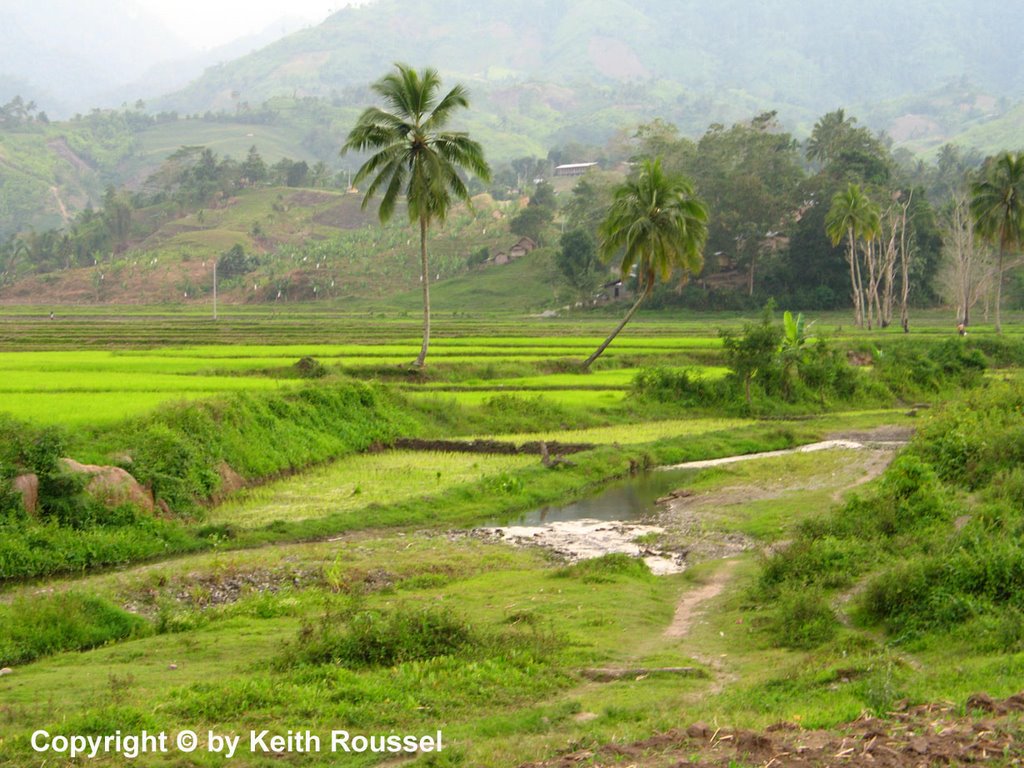 Rice Terraces by Keith Roussel