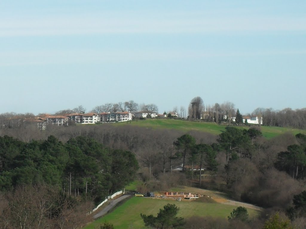 Vue de arcangues by david ollagnon