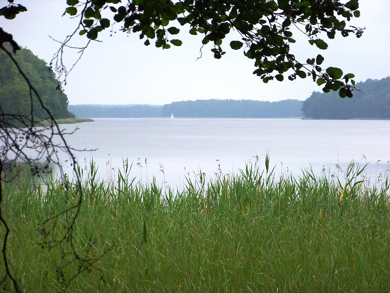 Blick auf den Jez. Jeziorak (Geserich-See) by chpagenkopf