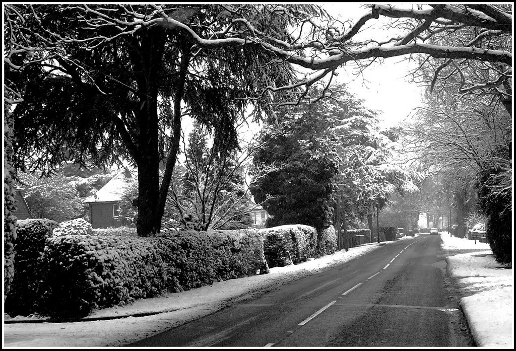 Winter snow in Jacobean Lane by knowle