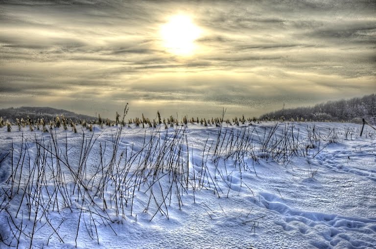 Berghagen, Winterabend 2010 (HDR) by Uwe Gehring