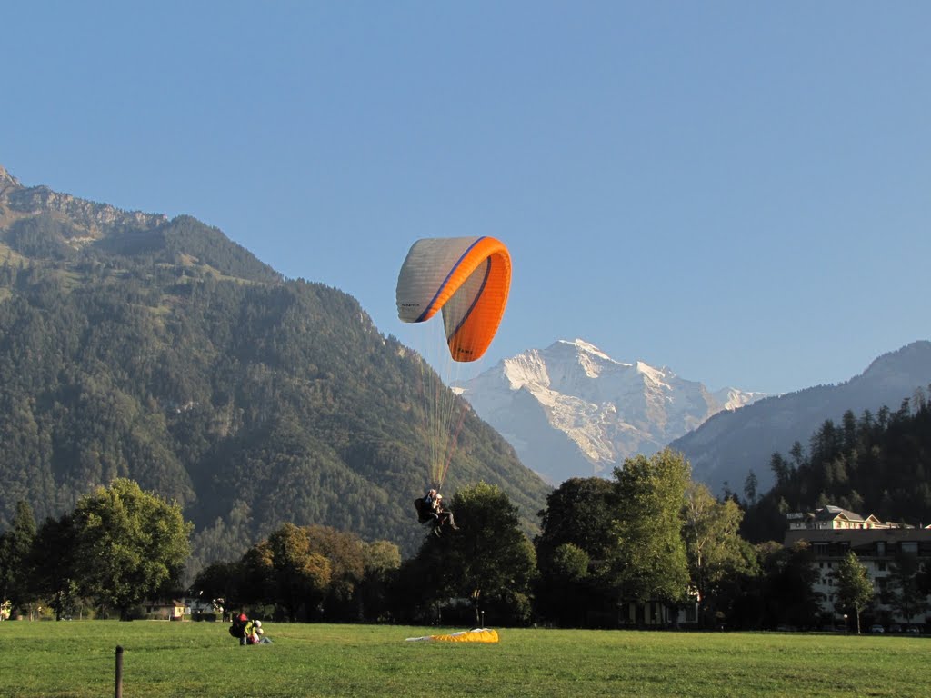 Interlaken, Höhematte (Landscape with the Jungfrau) by Gez@ batsy