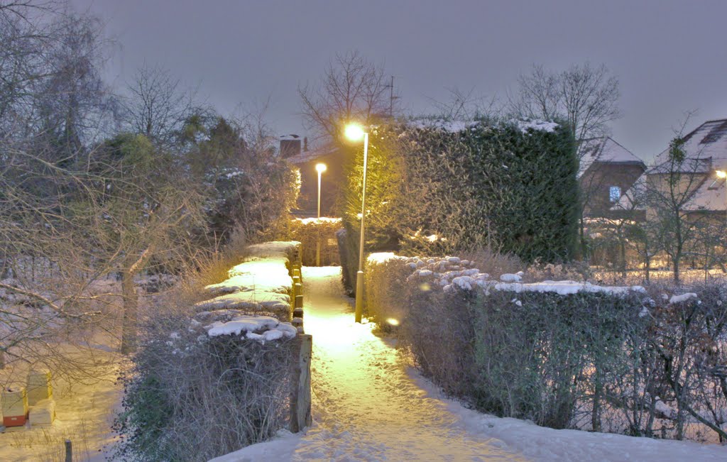 Schleichweg (friemersheim) by der  Schatten