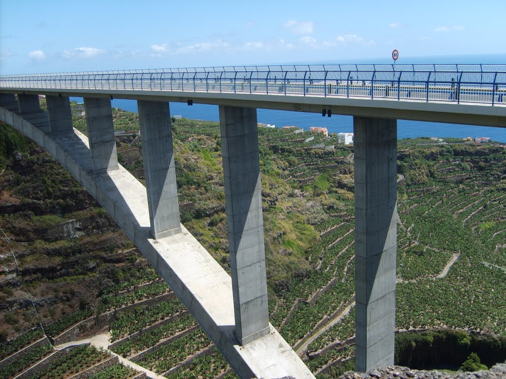 Viaducto de los Tilos, La Palma, Canarias - España. by Carlos E. Pérez (CEPSL)