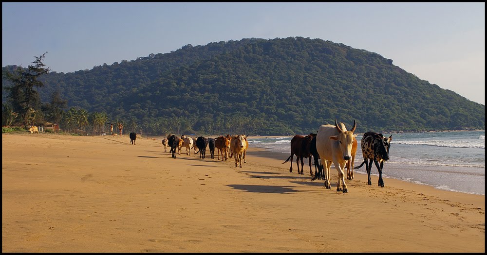 Agonda Beach / Goa / Indien by Michael Gaczensky